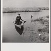Spanish trapper returning home to his camp in the marshlands near Delacroix Island, Louisiana. He has been out in his hand built piroque (canoe) checking up on his muskrat traps.