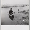 Spanish trapper returning home to his camp in the marshlands near Delacroix Island, Louisiana. He has been out in his hand built piroque (canoe) checking up on his muskrat traps.
