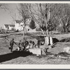 Hog killing near Luray, Virginia.