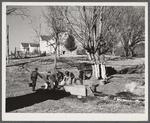 Hog killing near Luray, Virginia.