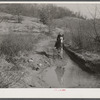 Two of Dutton ("Dut") Calleb's children watering the mule. Southern Appalachian Project near Barbourville, Knox County, Kentucky.