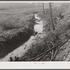 Many drainage ditches have been made and creeks cleaned out and land cleared on the creek bottom land of the farms of FSA (Farm Security Administration) borrowers. Southern Appalachian Project near Barbourville, Knox County, Kentucky.