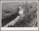 Many drainage ditches have been made and creeks cleaned out and land cleared on the creek bottom land of the farms of FSA (Farm Security Administration) borrowers. Southern Appalachian Project near Barbourville, Knox County, Kentucky.
