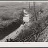 Many drainage ditches have been made and creeks cleaned out and land cleared on the creek bottom land of the farms of FSA (Farm Security Administration) borrowers. Southern Appalachian Project near Barbourville, Knox County, Kentucky.