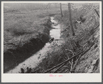 Many drainage ditches have been made and creeks cleaned out and land cleared on the creek bottom land of the farms of FSA (Farm Security Administration) borrowers. Southern Appalachian Project near Barbourville, Knox County, Kentucky.