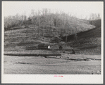 Josh Calahan's old home and barns with corn field on the hillsides. Southern Appalachian Project near Barbourville, Knox County, Kentucky.