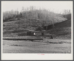 Josh Calahan's old home and barns with corn field on the hillsides. Southern Appalachian Project near Barbourville, Knox County, Kentucky.