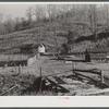 Josh Calahan's old home and barns with corn field on the hillside. Southern Appalachian Project near Barbourville, Knox County, Kentucky.