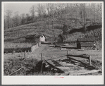 Josh Calahan's old home and barns with corn field on the hillside. Southern Appalachian Project near Barbourville, Knox County, Kentucky.
