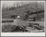 Josh Calahan's old home and barns with corn field on the hillside. Southern Appalachian Project near Barbourville, Knox County, Kentucky.