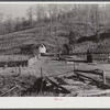 Josh Calahan's old home and barns with corn field on the hillside. Southern Appalachian Project near Barbourville, Knox County, Kentucky.