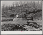 Josh Calahan's old home and barns with corn field on the hillside. Southern Appalachian Project near Barbourville, Knox County, Kentucky.