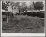 Trailer camp where construction workers and Army men are living. Camp Livingstone, near Alexandria, Louisiana.