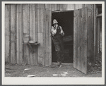 Charles B. Griggs shaving in front of his self-built shack on government property . He used to work on his farm outside Monroe, LA, but came to work on construction job at Camp Livingston near Fort Beauregard because he could make more money.