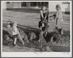 Children of Army men's families on Milstead Avenue playing in water in front of their new homes five miles outside of Columbus, Georgia.