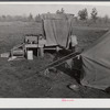 Tent and farm truck used for sleeping and general housing by construction workers off highway near Camp Claiborne. They cook out of doors and have no sanitary conveniences. Alexandria, Louisiana.