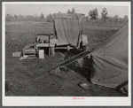 Tent and farm truck used for sleeping and general housing by construction workers off highway near Camp Claiborne. They cook out of doors and have no sanitary conveniences. Alexandria, Louisiana.