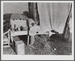 Tent, car, and farm truck, used for sleeping and general housing by construction workers off highway near Camp Claiborne, Louisiana. Cook out of doors and have no sanitary conveniences.