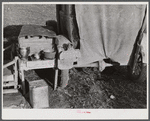 Tent, car, and farm truck, used for sleeping and general housing by construction workers off highway near Camp Claiborne, Louisiana. Cook out of doors and have no sanitary conveniences.