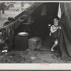 Child of construction worker in doorway of tent home near Alexandria, Louisiana. Ten men, two women, and two children live here.