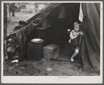 Child of construction worker in doorway of tent home near Alexandria, Louisiana. Ten men, two women, and two children live here.