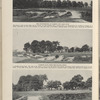 Historical British and American Courses Where Four National Championships Were Played