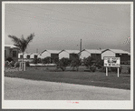 Osceola migratory labor camps built by FSA (Farm Security Administration). Belle Glade, Florida.
