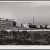 Osceola migratory labor camps built by FSA (Farm Security Administration). Belle Glade, Florida.