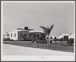 Osceola migratory labor camps built by FSA (Farm Security Administration). Belle Glade, Florida.