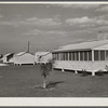 Rear view of clinic and metal shelters at Osceola migratory labor camp. Belle Glade, Florida.