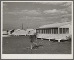 Rear view of clinic and metal shelters at Osceola migratory labor camp. Belle Glade, Florida.