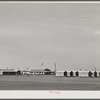 General view, Okeechobee migratory labor camp for agricultural workers. Belle Glade, Florida.