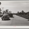 Trailer and cars along road to Sarasota trailer park. Sarasota, Florida.
