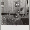 Living quarters for Black migratory workers near Belle Glade, Florida