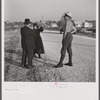 Amish farmers from Pennsylvania near Sarasota, where they are observing Florida farming methods.