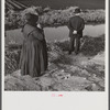 Amish farm couple from Pennsylvania observing farming methods near Sarasota, Florida.