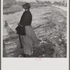 Amish farm woman from Pennsylvania near Sarasota, Florida, observing Florida farming methods.