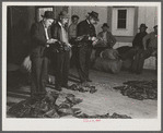 Fur buyers grading muskrats at auction sale in dance hall in Delacroix Island, Louisiana.