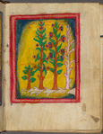 Psalter