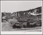 Congested slum area. Hartford, Connecticut.