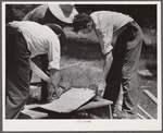 Cutting metal reinforcement for screen door joints. Charles County, La Plata, Maryland. Screening demonstration.