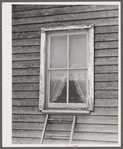 Window frame with screen supplied. The top strip has been nailed in place. The screen is then stretched and fastened at the sill. Screening demonstration. Charles County, La Plata, Maryland.