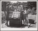 Home supervisor while making home visit to FSA (Farm Security Administration) borrower inspects water supply for repair. Charles County near La Plata, Maryland.