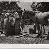 Home supervisor while making home visit to FSA (Farm Security Administration) borrower inspects water supply for repair. Charles County near La Plata, Maryland.