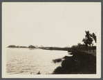 View of western arm of Quantuck Bay. Westhampton, Southampton