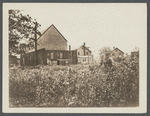 Rear of Frank Hajek house (tailor, bakery) and Riding Academy. Old Mill Road, Westhampton Beach. Westhampton, Southampton