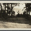 View of house with looped trees in foreground. Old Mill Road, Westhampton Beach. Westhampton, Southampton