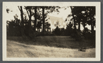 View of house with looped trees in foreground. Old Mill Road, Westhampton Beach. Westhampton, Southampton
