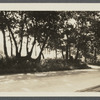 View of house with looped trees in foreground. Old Mill Road, Westhampton Beach. Westhampton, Southampton