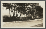 View of house with looped trees in foreground. Old Mill Road, Westhampton Beach. Westhampton, Southampton